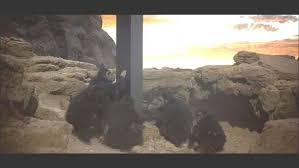 Résultat de recherche d'images pour "2001 monolith"