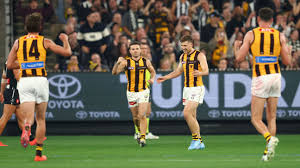 Dylan Moore's goal after the siren salvages draw for Hawks against Pies