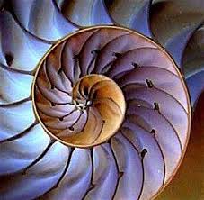 Szimmetrikus-aszimmetrikus alakzat