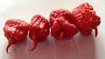  Can hottest pepper on earth really cause an 'incapacitating' headache?