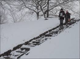 강원도 고립공원 /태백산 설경속의 눈꽃 세상에 대한 이미지 검색결과