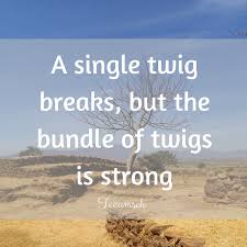 A Single twig breaks, but the bundle of twigs is... – Inspiration via Relatably.com