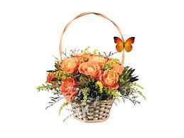 Картинки по запросу картинки анимашки цветы