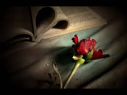 Image result for ‫عشق‬&lrm;