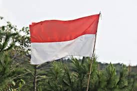 bernasnews - News update