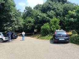 Giornale di Brescia - News update