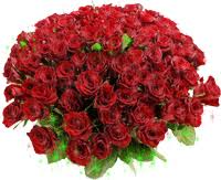 Картинки по запросу анимашки