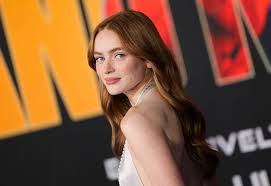 Sadie Sink in MCU's X-Men Reboot? See Our Dream Cast — YH