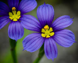 Kwatery Władysławowo