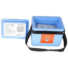 FAIRBIZPS Mini Vaccine Carrier Box with 2 Ice Pack Small ...
