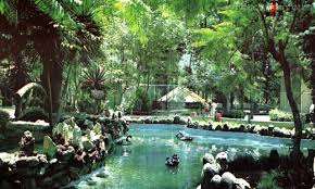 images?q=tbn:ANd9GcR3yCtOxnhhEVygN5h69sD