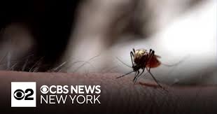 CBS News - News update