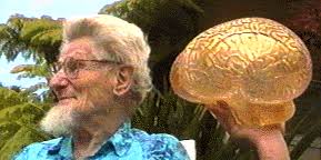 ... M.D., holds a model of a dolphin brain. The dolphin brain is larger than a human brain and more complex in structure. Photograph by Isabelle Bondi. - dolphinjohnlilly