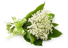 Résultat de recherche d'images pour "image 1er mai"