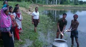 Image result for Climate Natore District