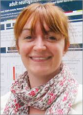 Dr Sophie Tronel PhD, CR1 CNRS Neurocentre Magendie Team: Neurogenesis and pathophysiology. Research team D. Nora Abrous - Tronel-Sophie
