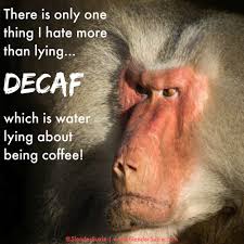 Image result for coffee humor quotes