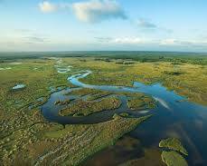 Gambar Everglades in Florida