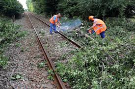 Le Figaro - News update