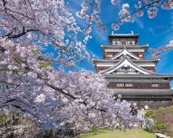 広島城の桜の画像