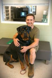 A Bond Forged in Silence: The Story of a Rottweiler’s Redemption – New ...
