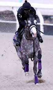 【天皇賞・春・ヤマタケが見た】武豊騎手とＧ１制覇狙うアドマイヤテラは万全 調整役の荻野琢真騎手が感じる変化とは