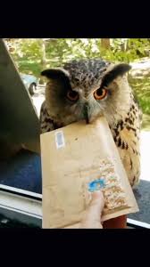 NOME WALLET III (mini) Unbox chiếc ví hot nhất, bán chạy ...