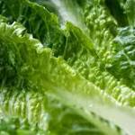  35 reported cases of E. coli linked to romaine lettuce: CDC