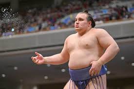 初々しい安青錦が「めちゃんこかわいい」 有名女優と共演でX歓喜「推しがCMに」「高感度高い」（THE ANSWER）