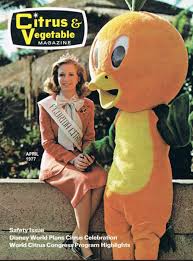 Image result for the orange bird