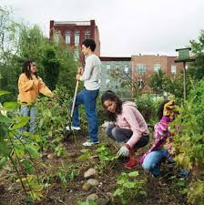 Image result for community garden plots