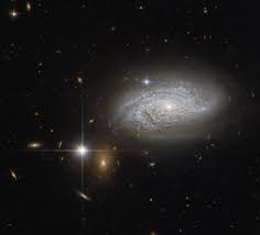 Image result for NGC 4921