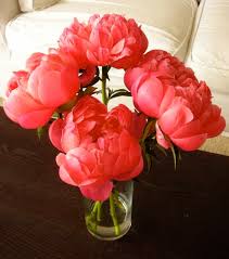 Love love love Peonies photo 3453153-1