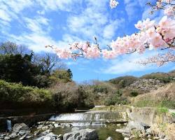 摂津峡公園の画像