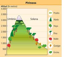 Resultado de imagen de imagenes de la distribucion de las plantas por altitud