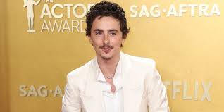 Timothée Chalamet Debuts New Haircut, Shaved Off Mustache During Knicks Game