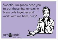 Sillyness on Pinterest | Dogs, Hilarious and Funny via Relatably.com