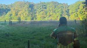 Grote natuurbrand in de bossen bij Helden