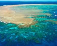 Great Barrier Reef, Australiaの画像