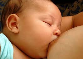 kepentingan protein semasa penyusuan