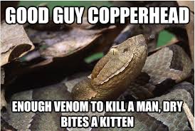 Résultat de recherche d'images pour "copperhead bites"