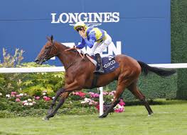 Thoroughbred Daily News - News update