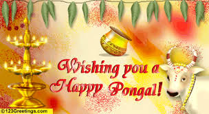 Image result for pongalimages