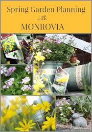 Image result for monrovia green pot