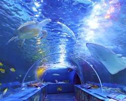 水族館の画像