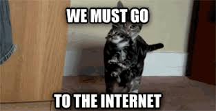 Image result for welcome to the internet meme