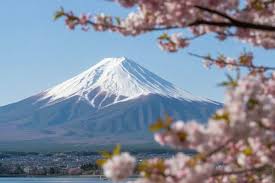 Mt. Fuji’s Cherry Blossom Festival Calls It Quits: How Japan’s Tourism Crisis Is Redefining Tradition!