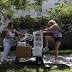 USF welcomes herd of freshmen Bulls, returning upperclassmen to...