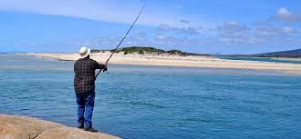 Image result for fishing