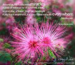 Around us, life bursts with miracles... | Thick Nhat Hanh ... via Relatably.com